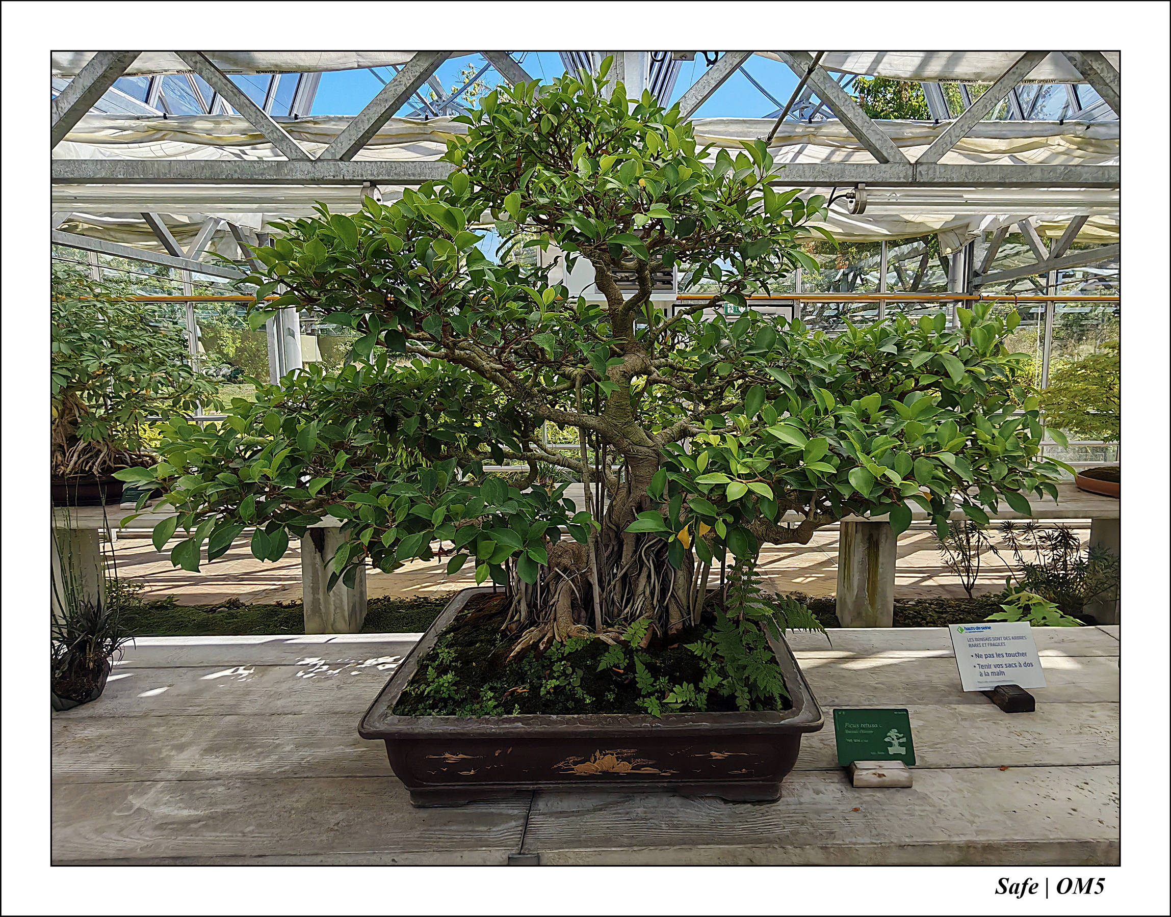 2025 - 08 - Vallée des loups - 16